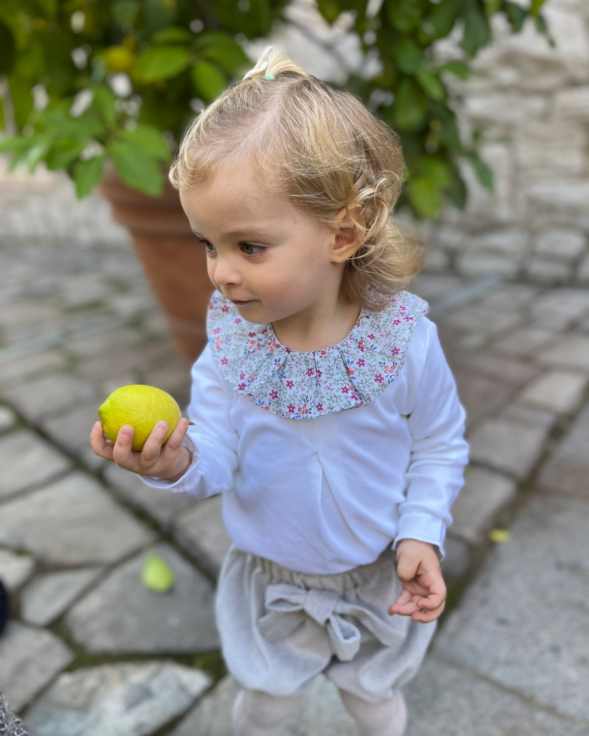 BOMBACHA LAZO COTELE GRIS